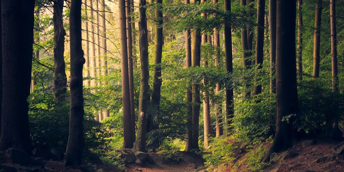 UW Study Links I-5 Proximity to Higher Pollution Exposure