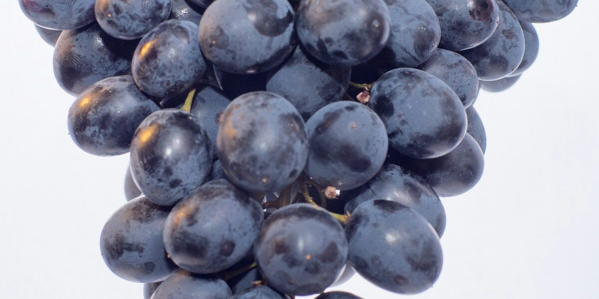 Best Air Purifiers and Testing Tools for 2025