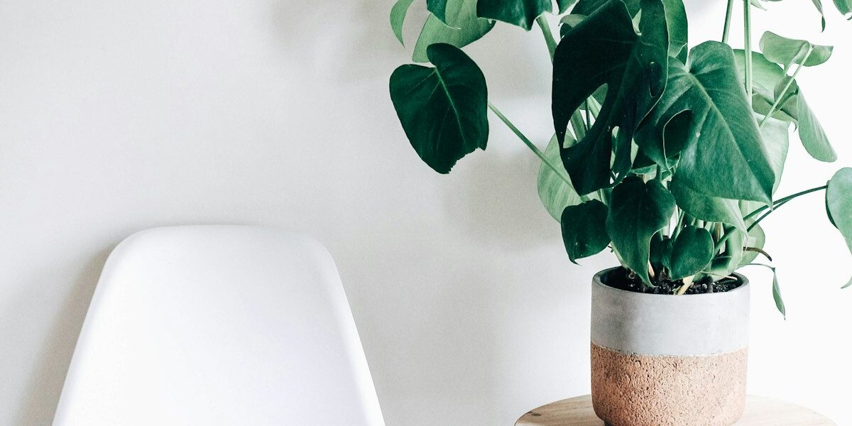 Air Quality Monitors Every NW Home Should Consider